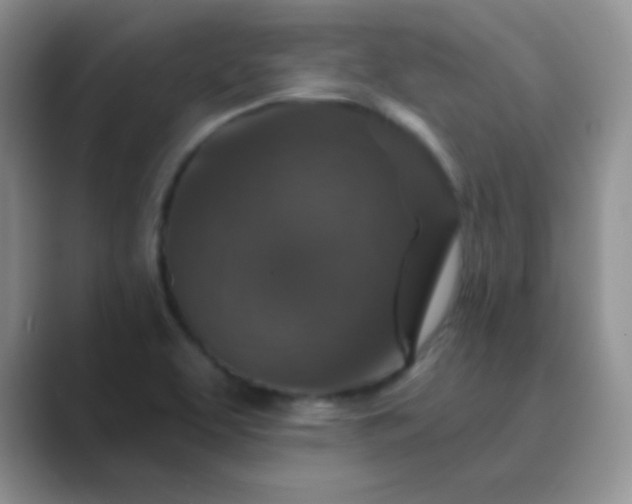 X0000089701463200707051635