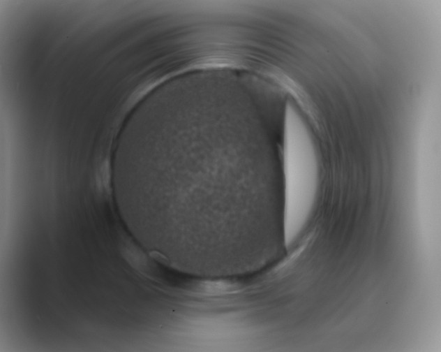 X0000089701465200707051635