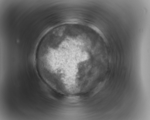 X0000089701466200707051635