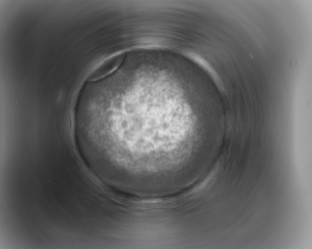 X0000089701467200707051635