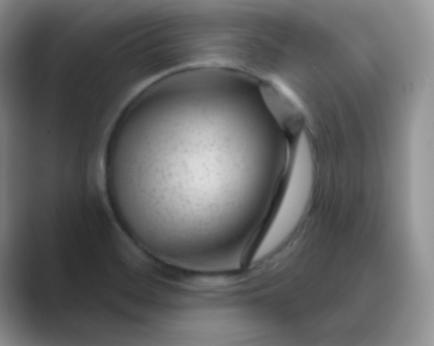 X0000089701468200707051635