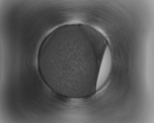 X0000089701469200707051635