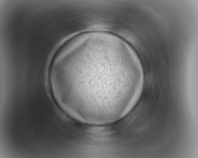 X0000089701470200707051635