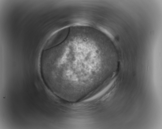 X0000089701471200707051635