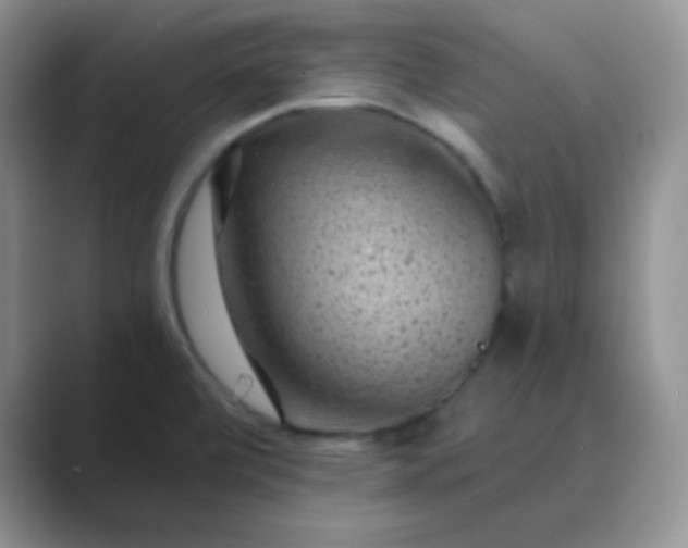 X0000089701472200707051634