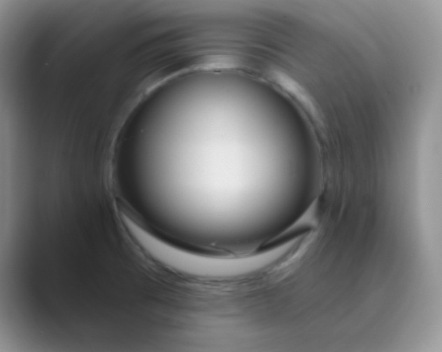 X0000089701473200707051634