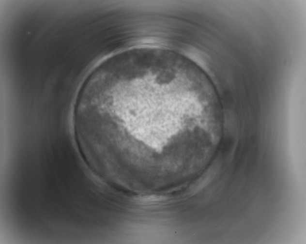 X0000089701474200707051634