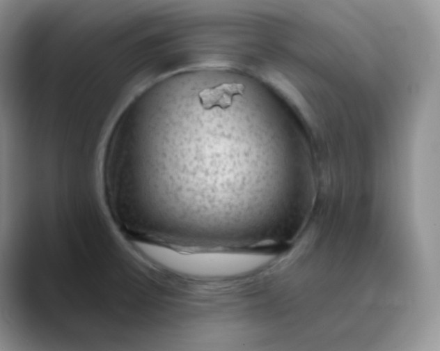 X0000089701475200707051634