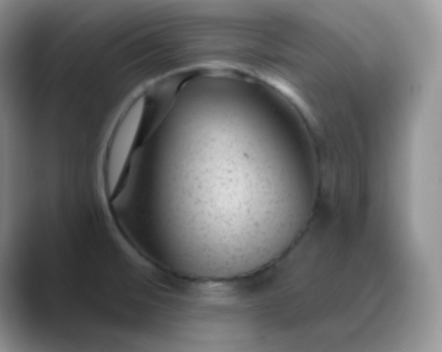 X0000089701476200707051634