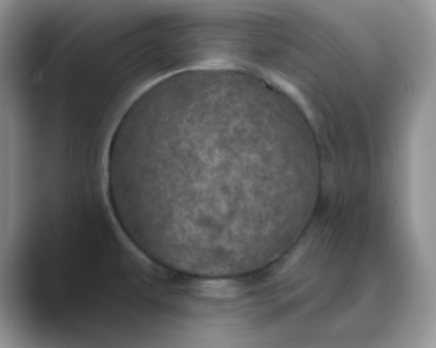 X0000089701479200707051634