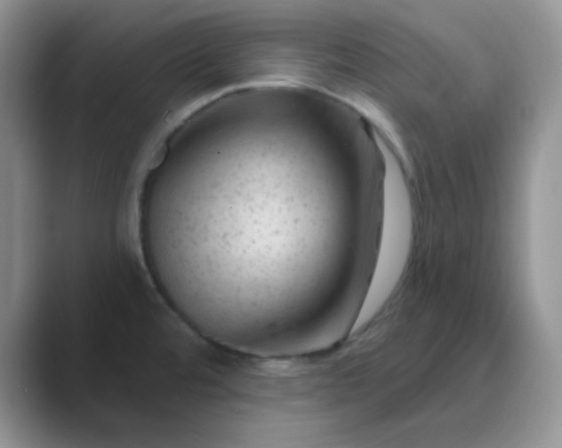 X0000089701480200707051634