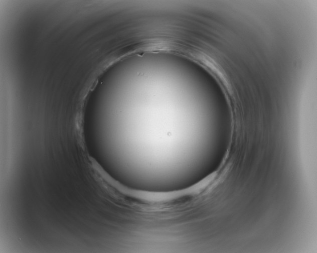 X0000089701481200707051634