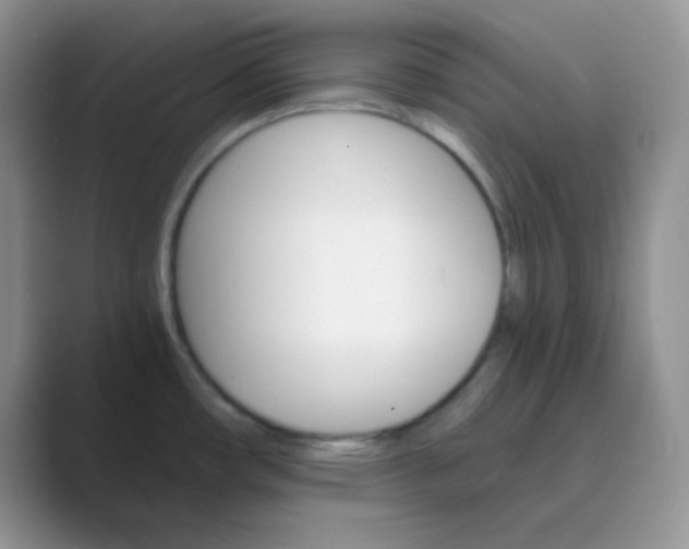 X0000089701482200707051634