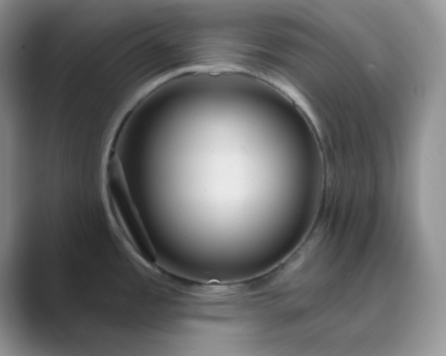 X0000089701485200707051634