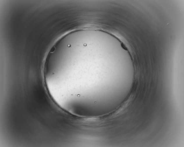 X0000089701486200707051634