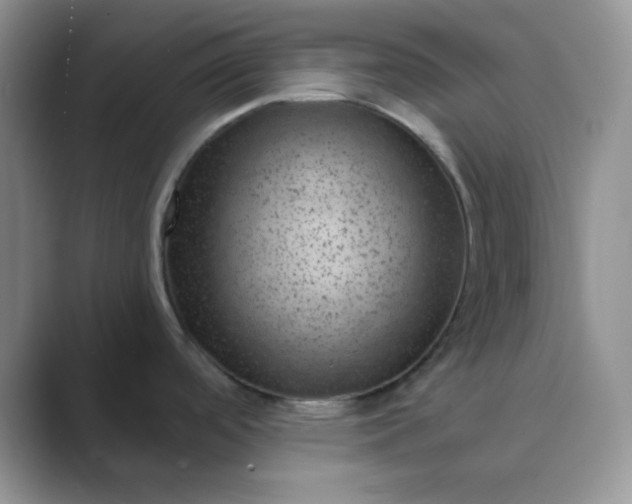 X0000089701488200707051634