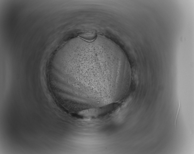 X0000089701489200707051634