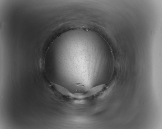 X0000089701490200707051634