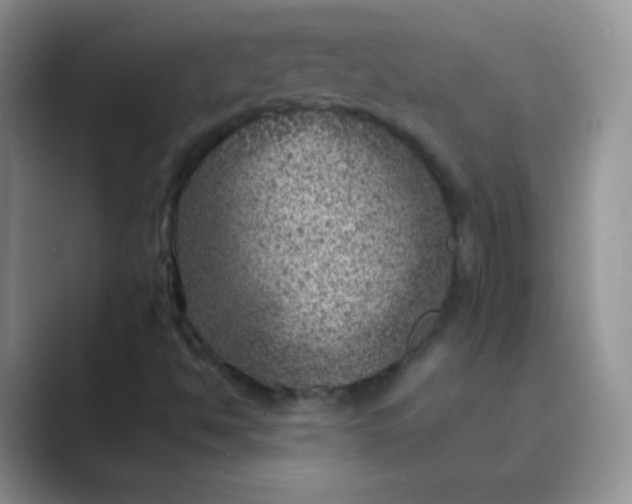 X0000089701494200707051634