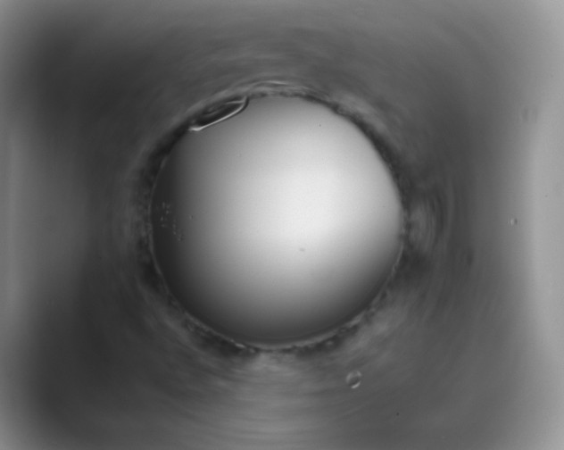 X0000089701496200707051634