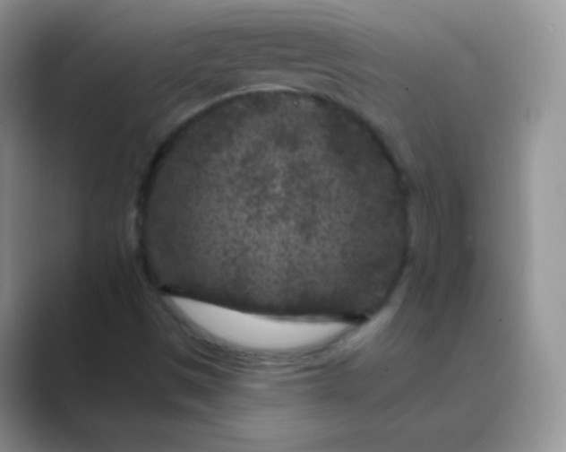 X0000089701497200707051634