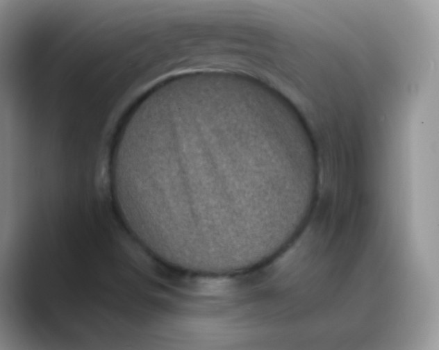 X0000089701498200707051634