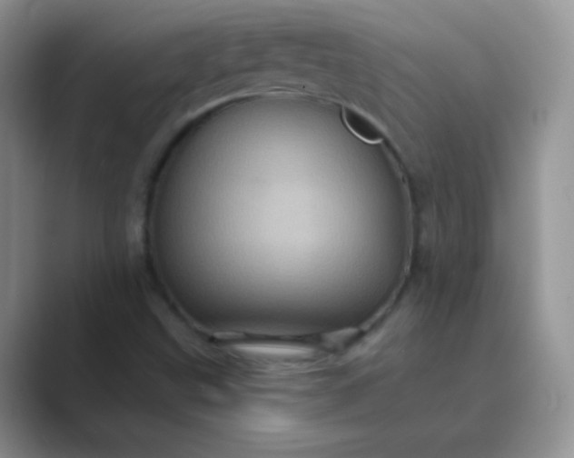 X0000089701499200707051634