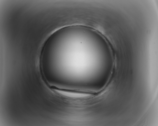 X0000089701500200707051634