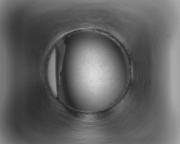 X0000089701501200707051634