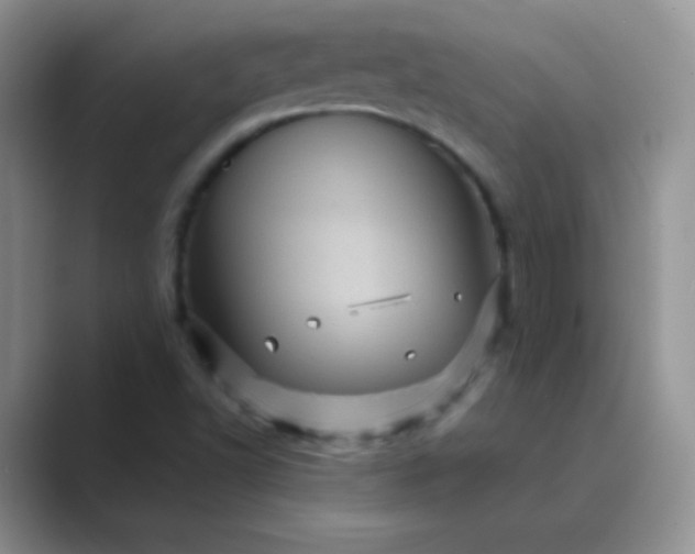 X0000089701502200707051634