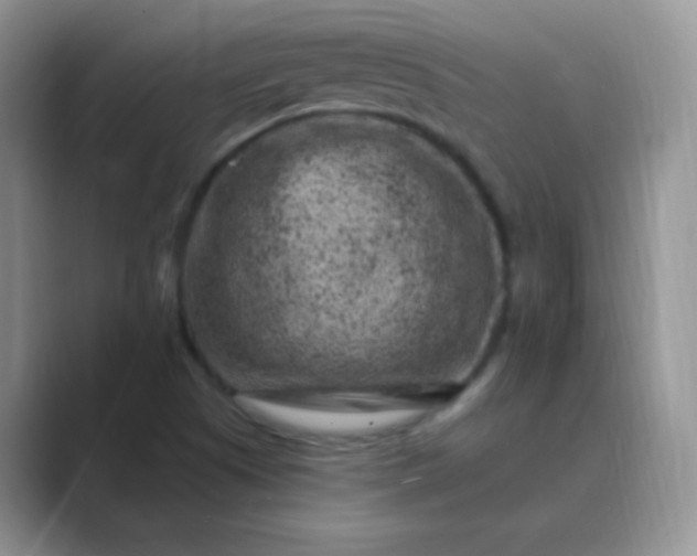 X0000089701505200707051634