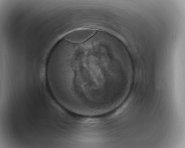 X0000089701506200707051634