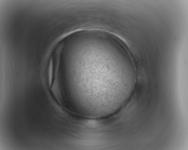 X0000089701507200707051634