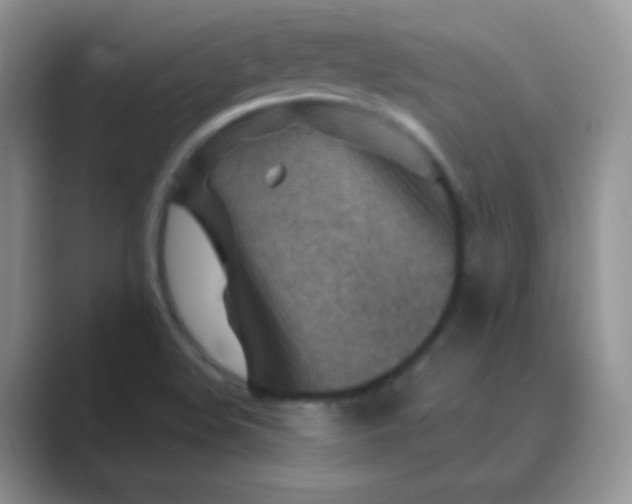 X0000089701508200707051634