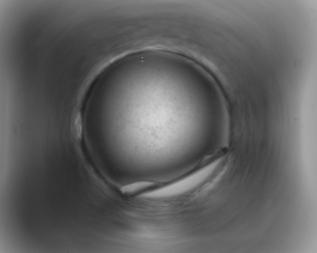 X0000089701509200707051634