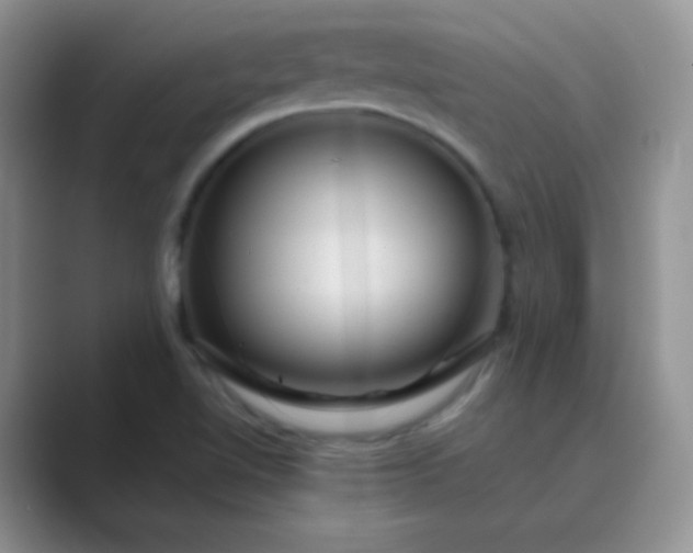 X0000089701510200707051634