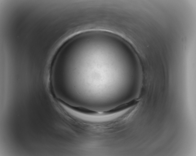 X0000089701511200707051634