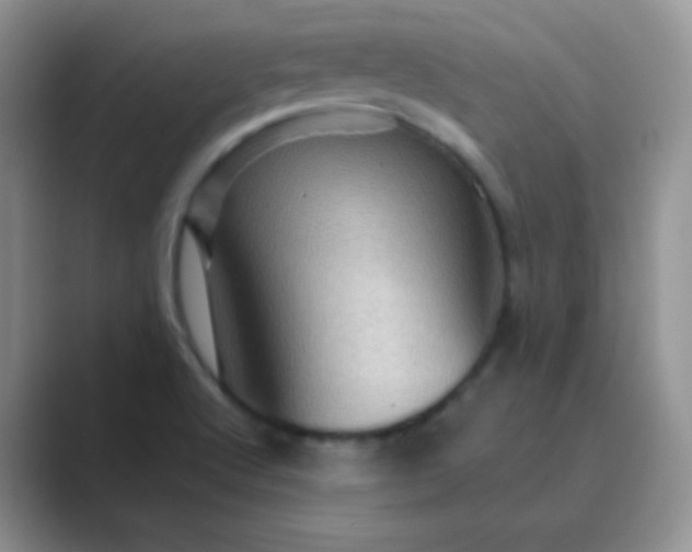 X0000089701512200707051634