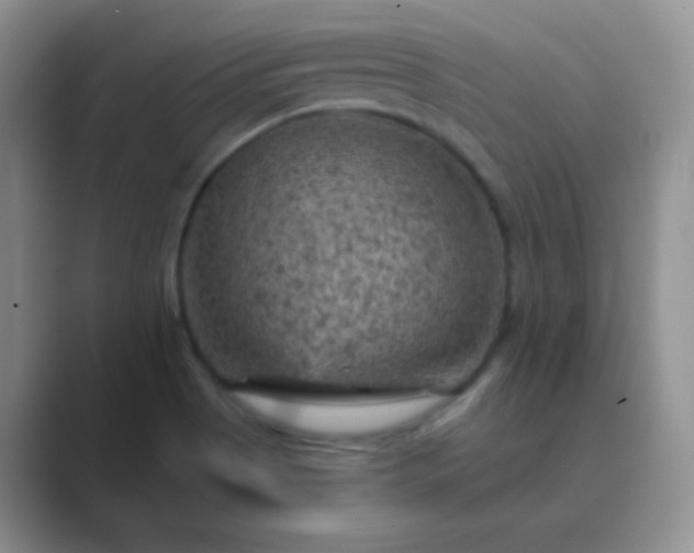 X0000089701513200707051634