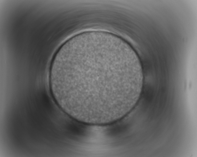 X0000089701514200707051634