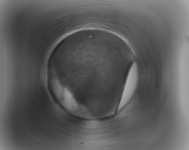 X0000089701515200707051634