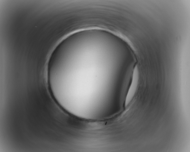 X0000089701516200707051634