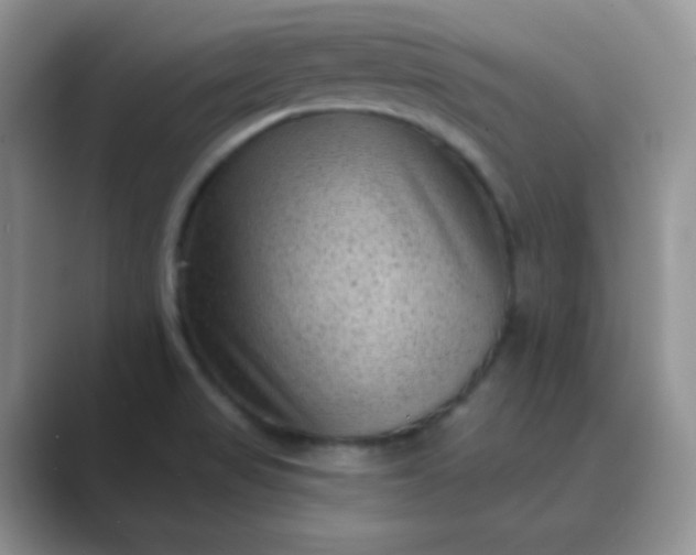 X0000089701517200707051634