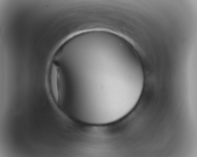 X0000089701518200707051634