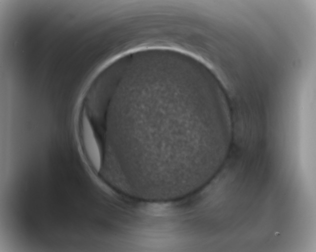 X0000089701519200707051634