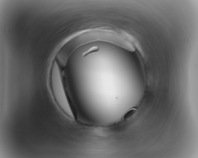 X0000089701520200707051634