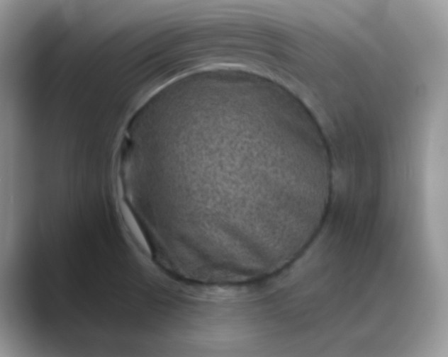 X0000089701521200707051634