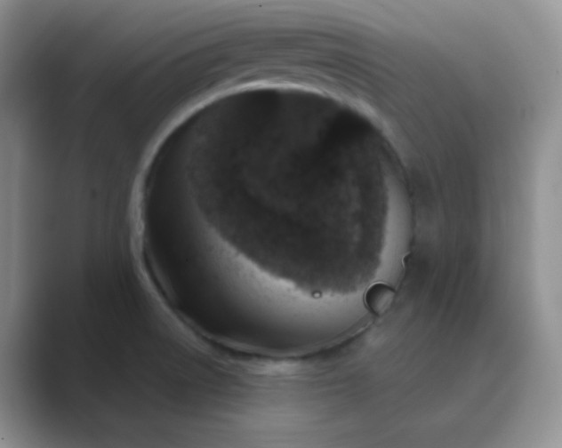 X0000089701522200707051634