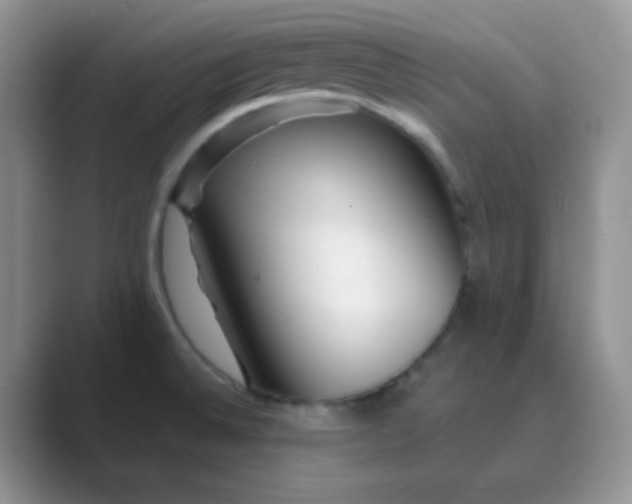 X0000089701524200707051634