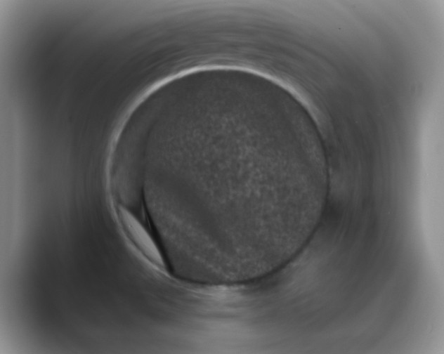 X0000089701527200707051634